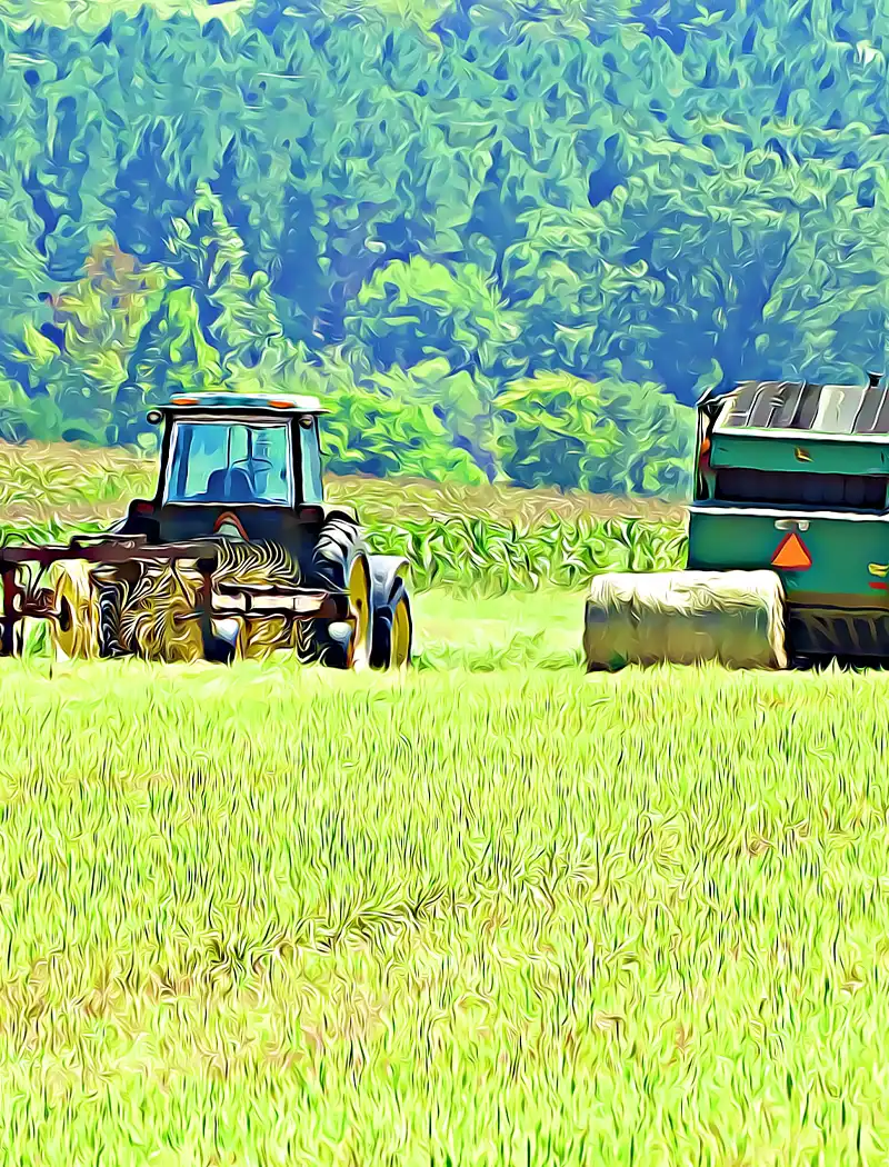 farm-equipment-dealerships-thedealerguide.com